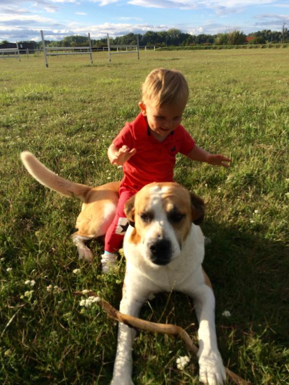 Vendégház Nagybajcsi Lovaspark és Otthon Nagybajcs