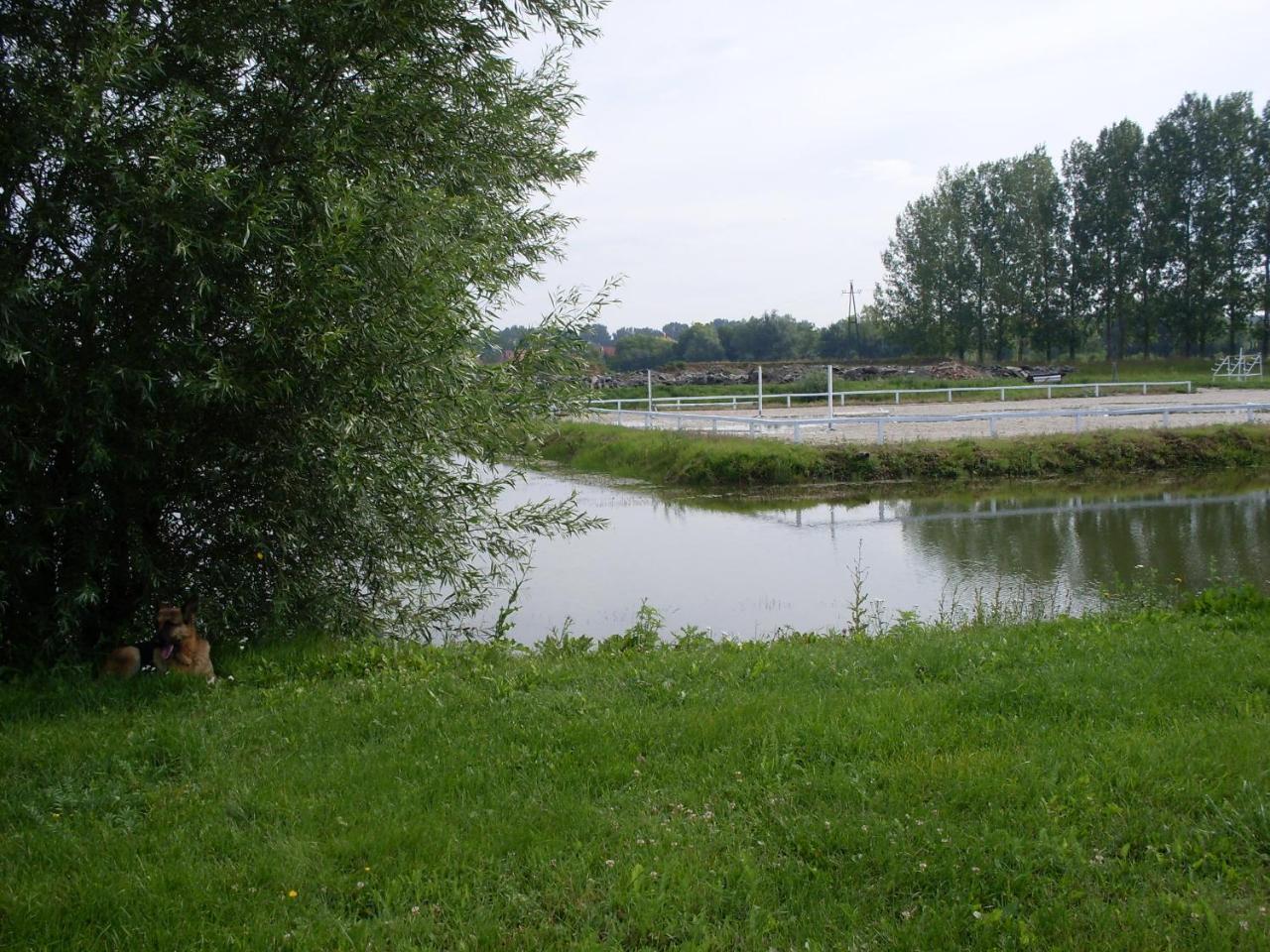 Nagybajcsi Lovaspark és Otthon * Nagybajcs